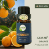 Tinh dầu Cam Caroline nguyên chất nhập khẩu Mỹ 10ml