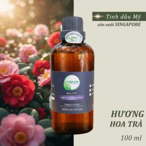 tinh_dau_hoa_tra_caroline